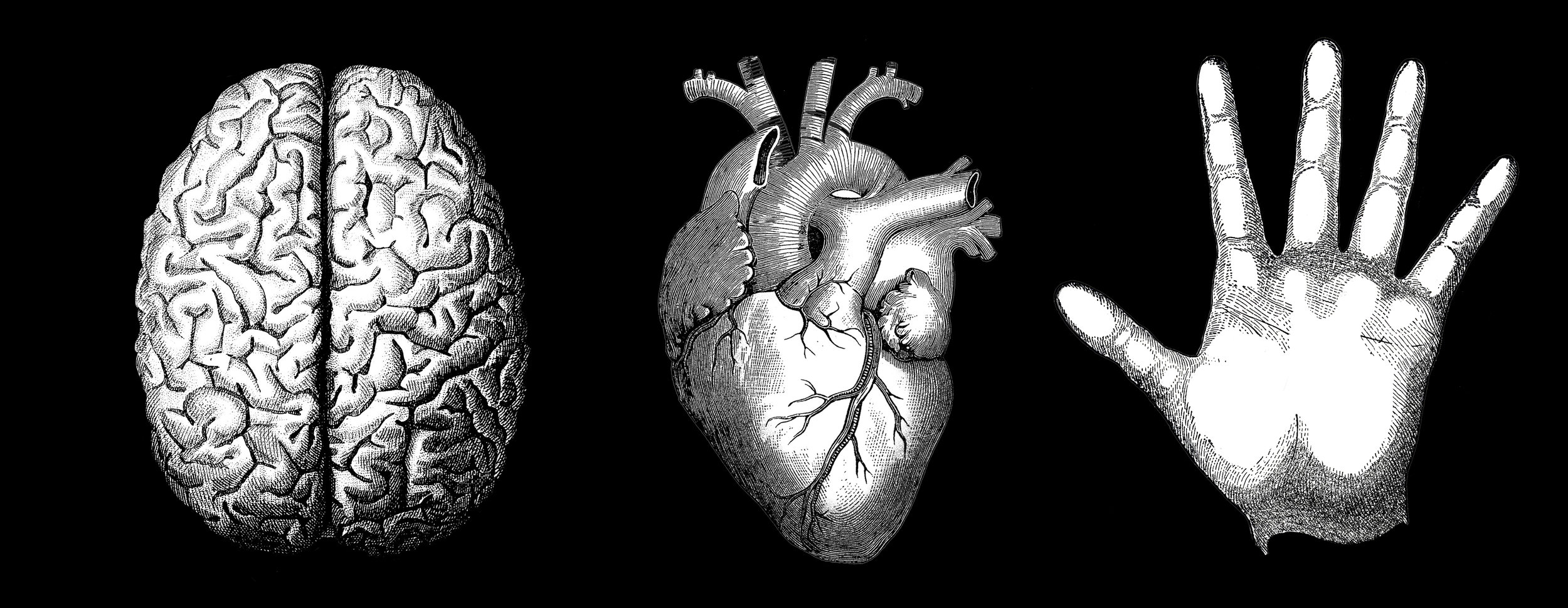HEAD HEART HANDS-BLACK-FLAT.jpg