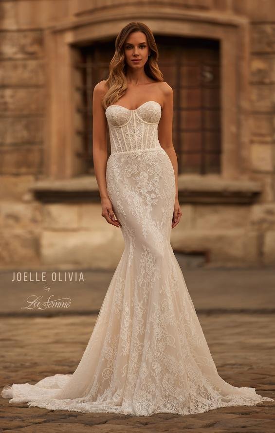 joelle-olivia-wedding-dress-IIINI-1-J2254.jpg