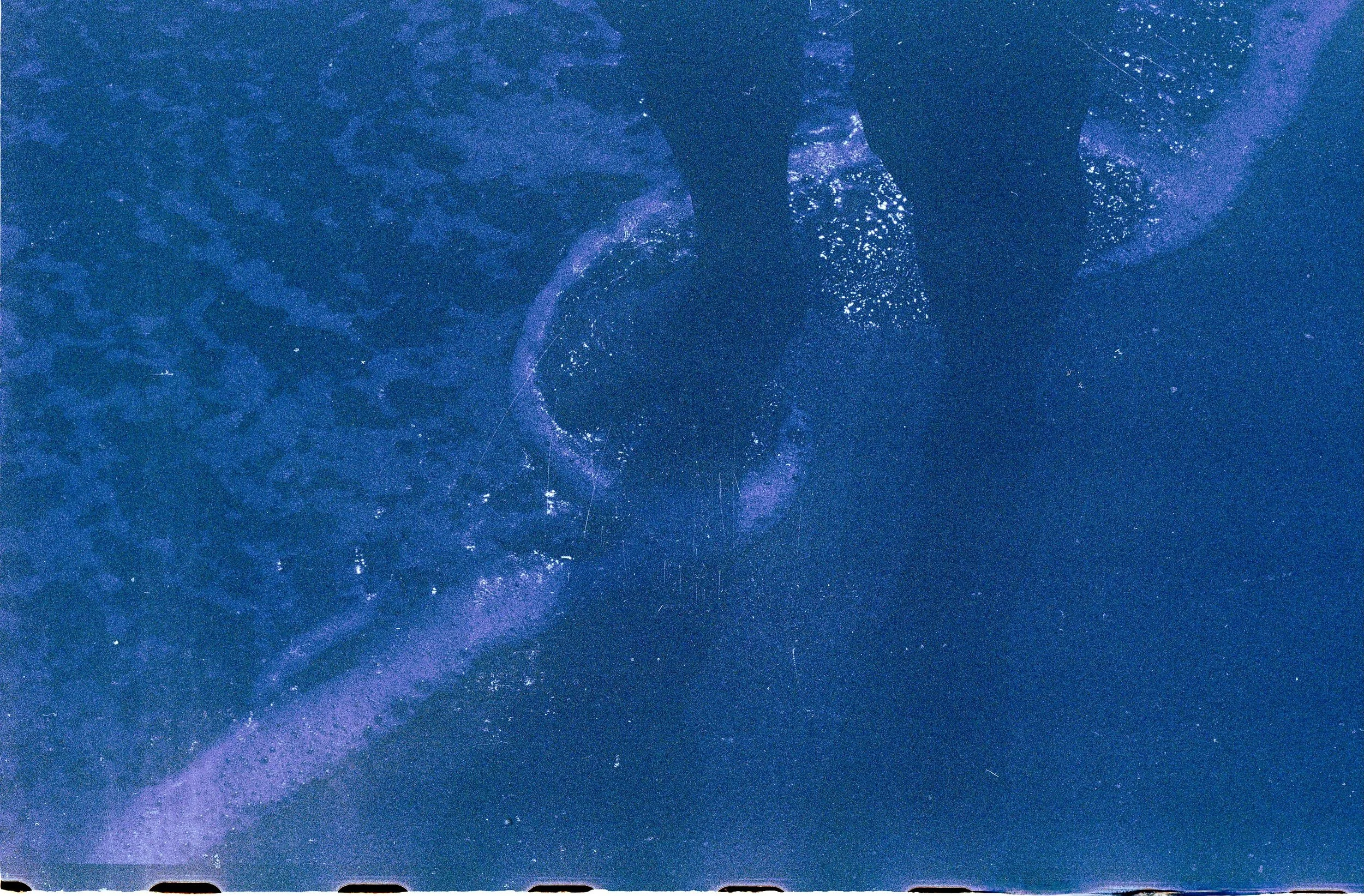 mamainthesea.jpeg