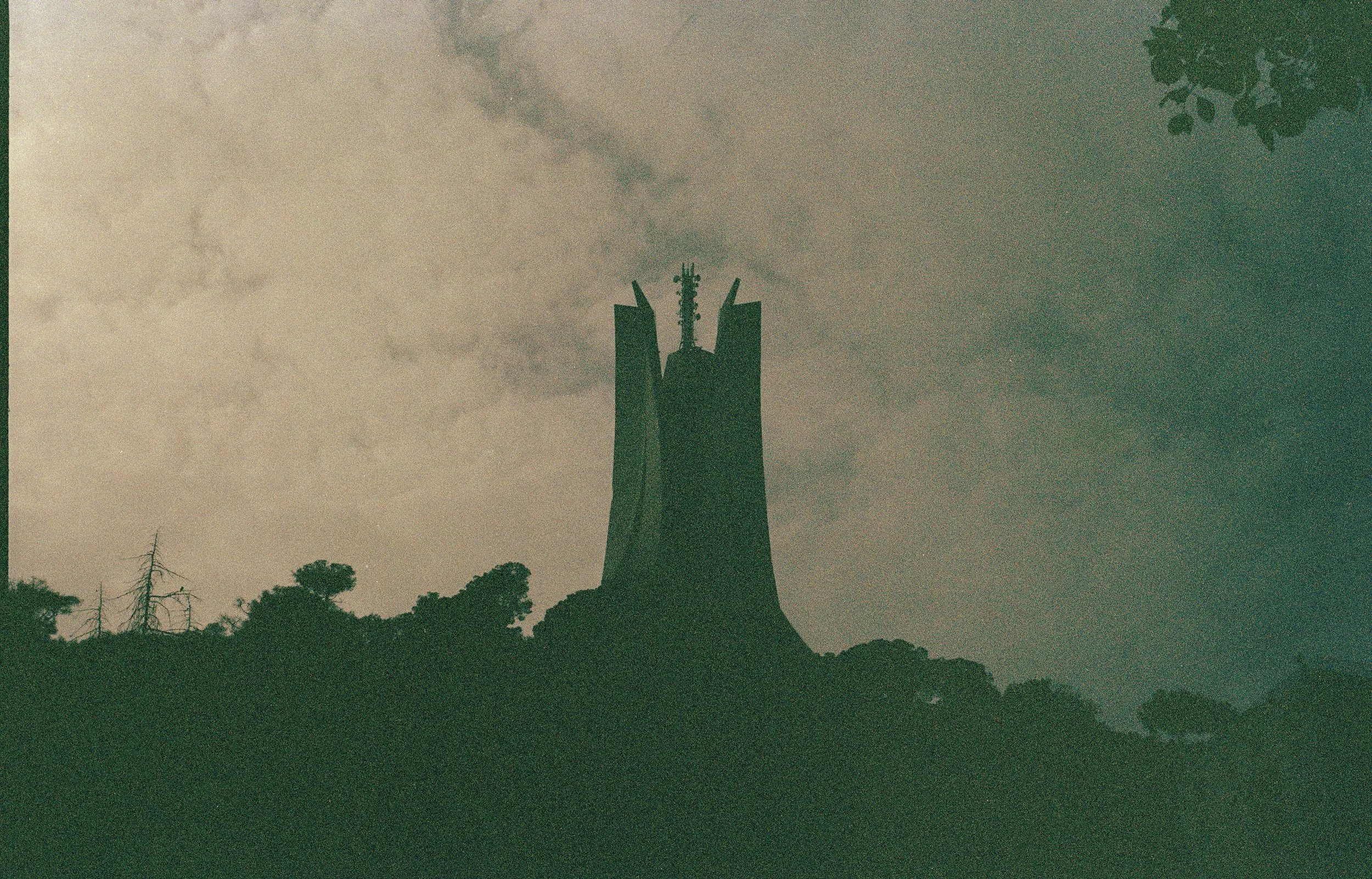 enalger5.jpg