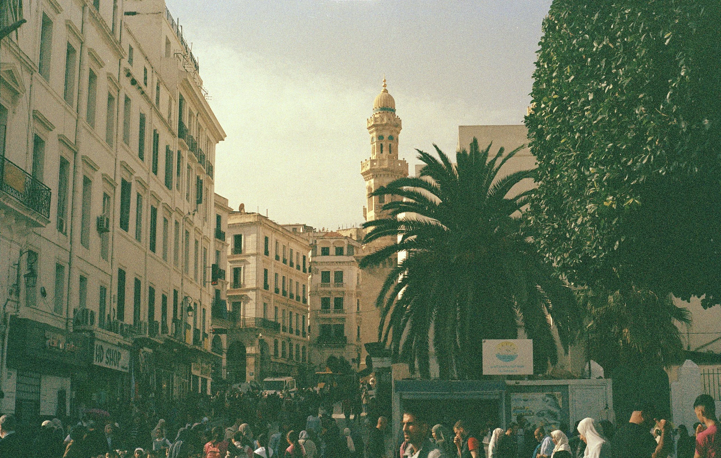 enalger7.jpg