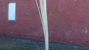 Dick Pic, Swipe Left