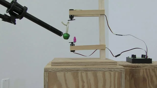 I Want to Live Forever