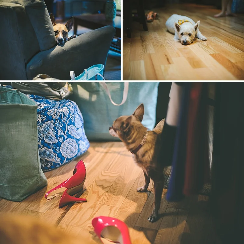 mcgurk_blog04