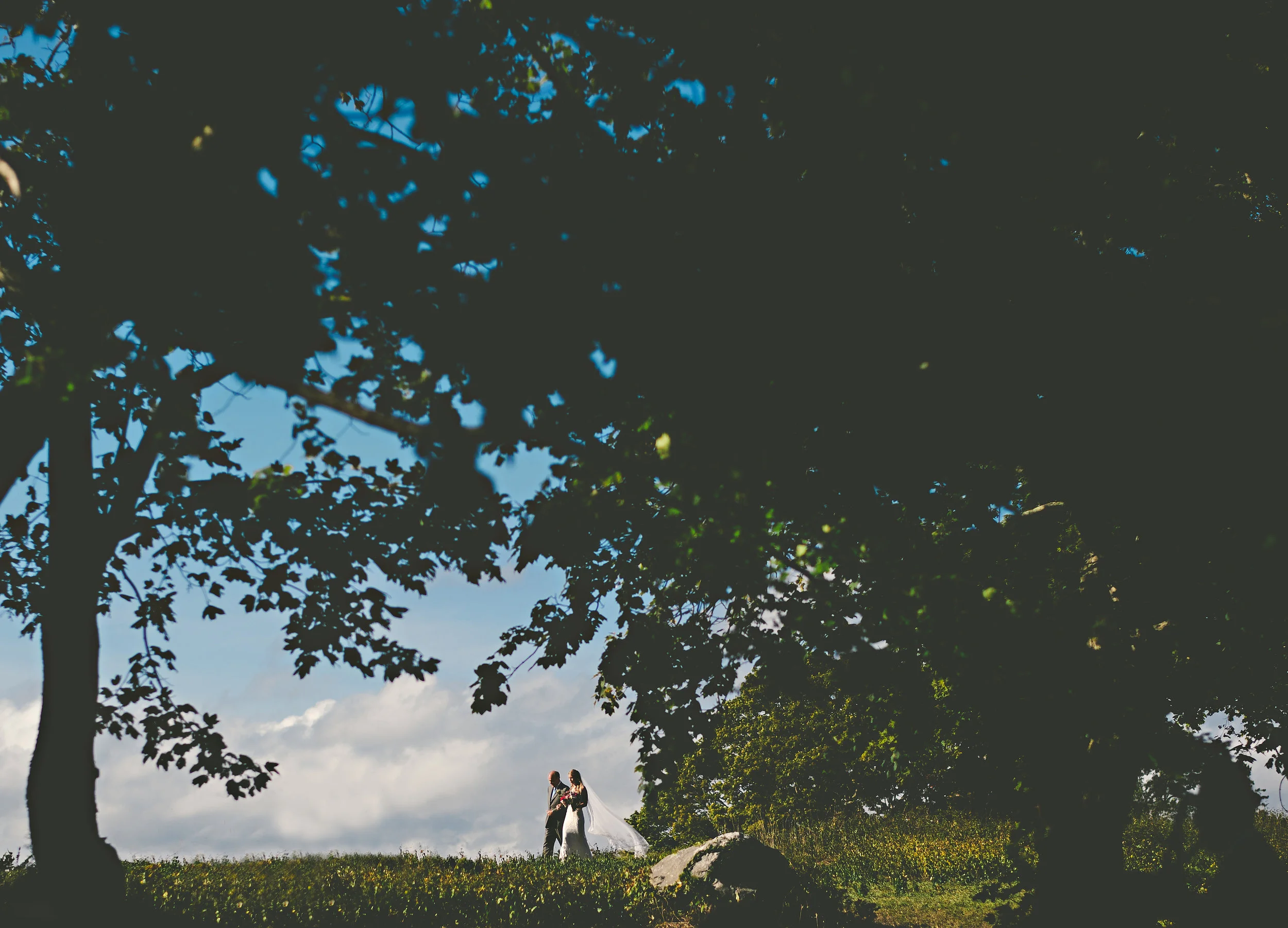 bruker_wedding_0875.jpg