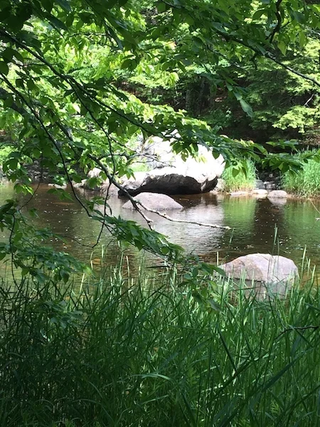 grassesriver copy.jpg
