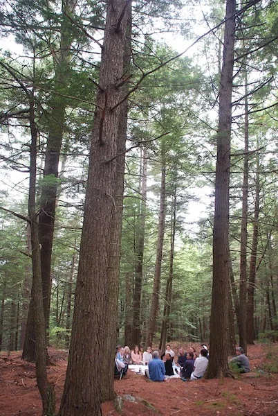 grouptrees copy.jpg
