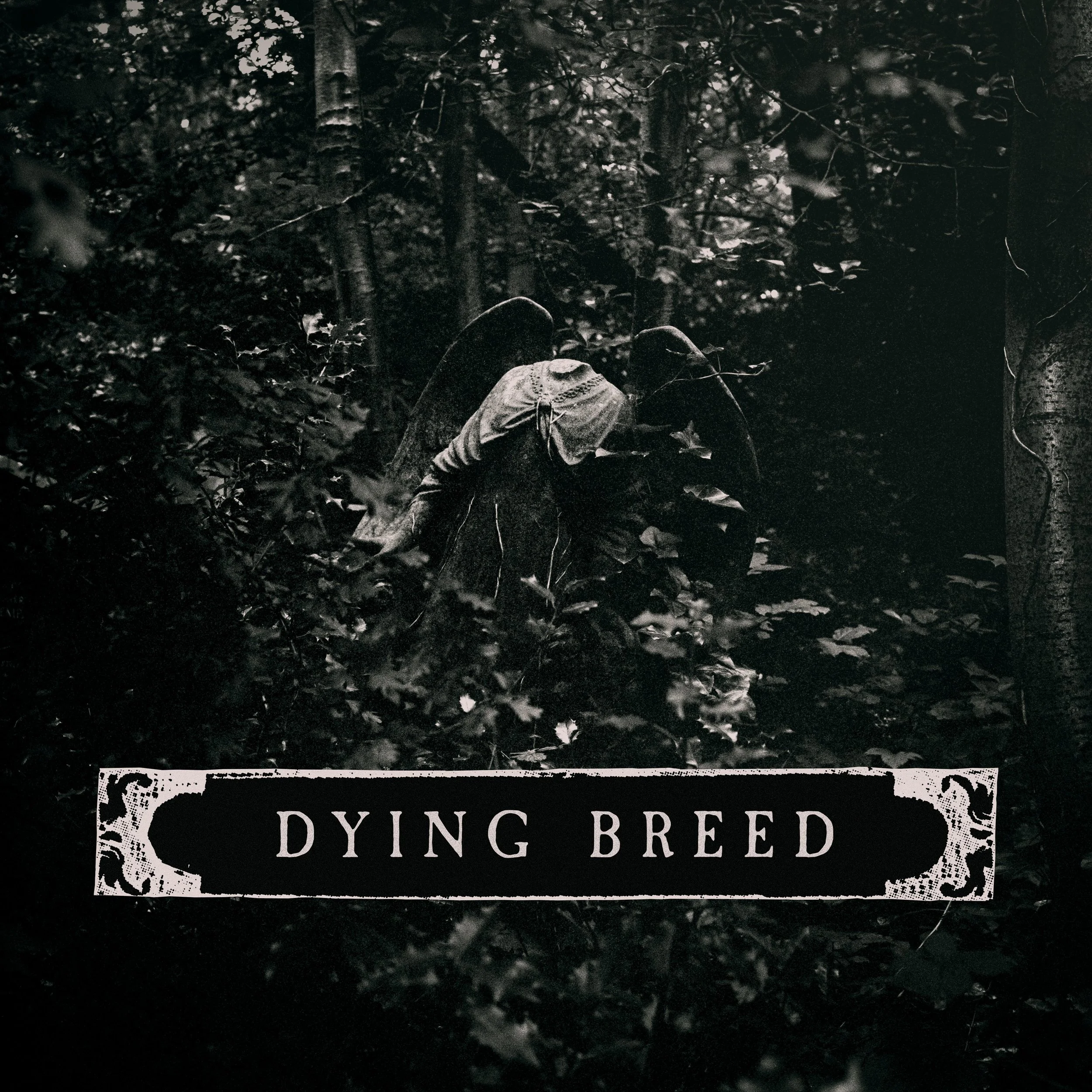 dyingbreed_cover.jpg.jpg