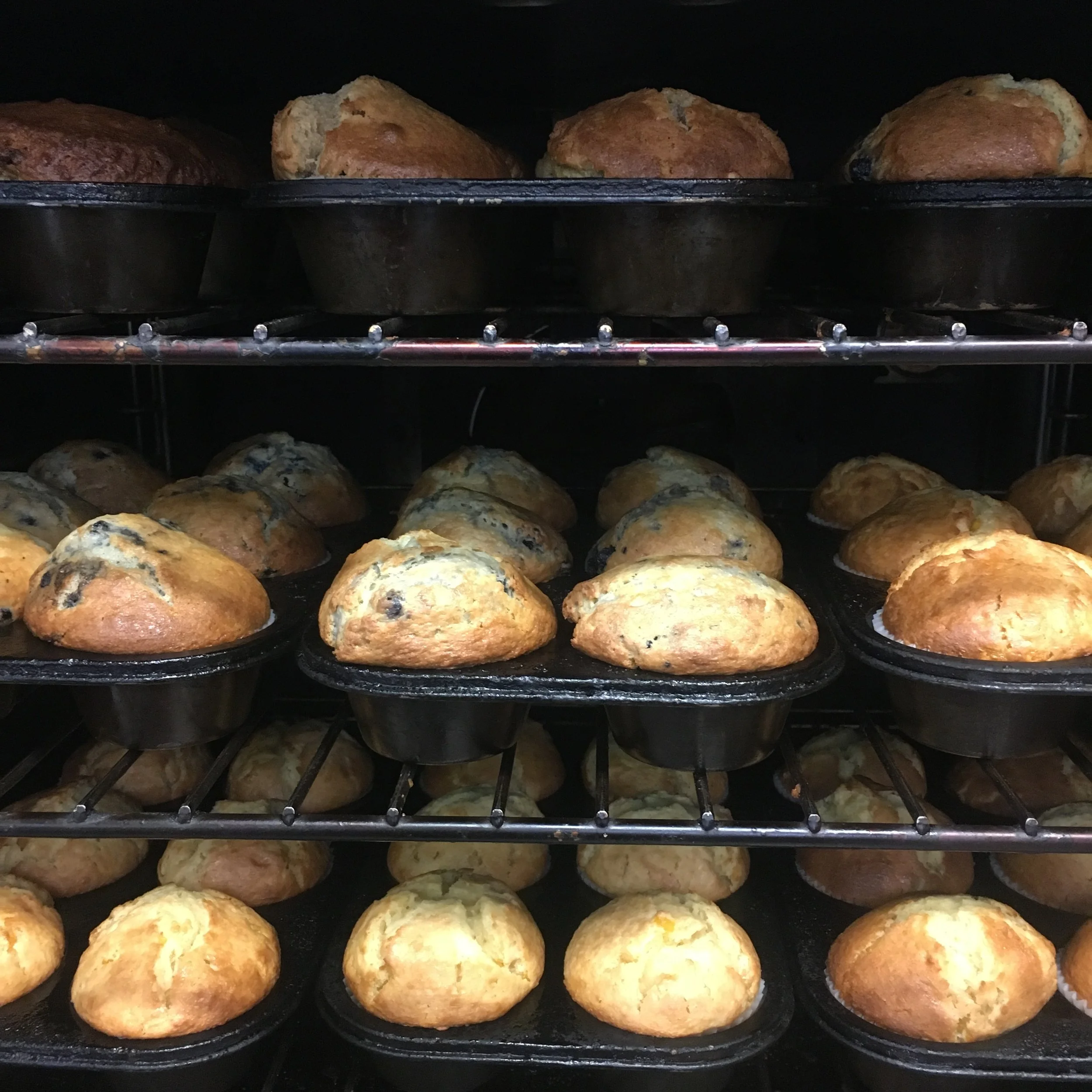 Sweet Kneads Bakery & Cafe