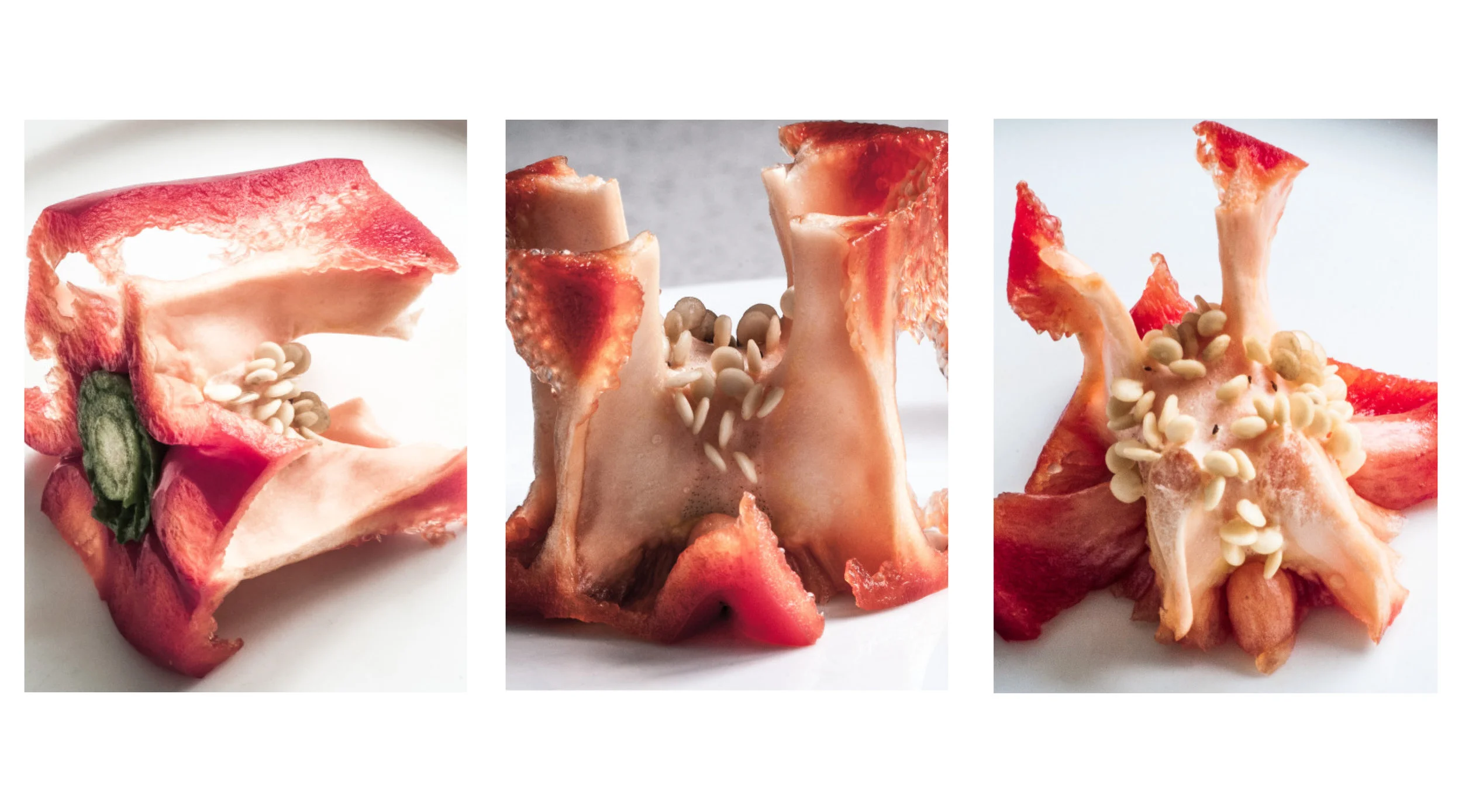 The Red Pepper.jpg