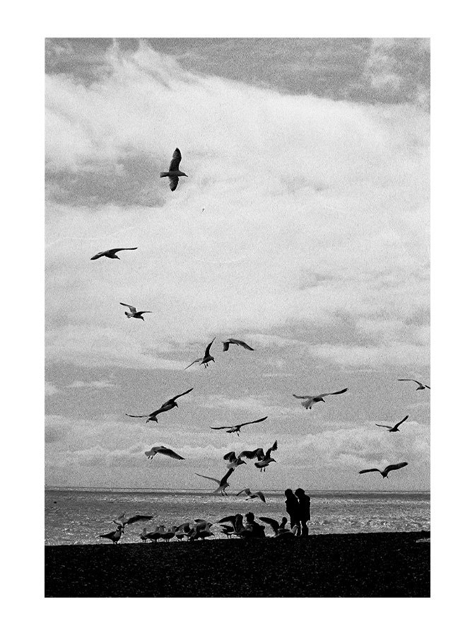 Boys and Seagulls 1_Brighton.jpg