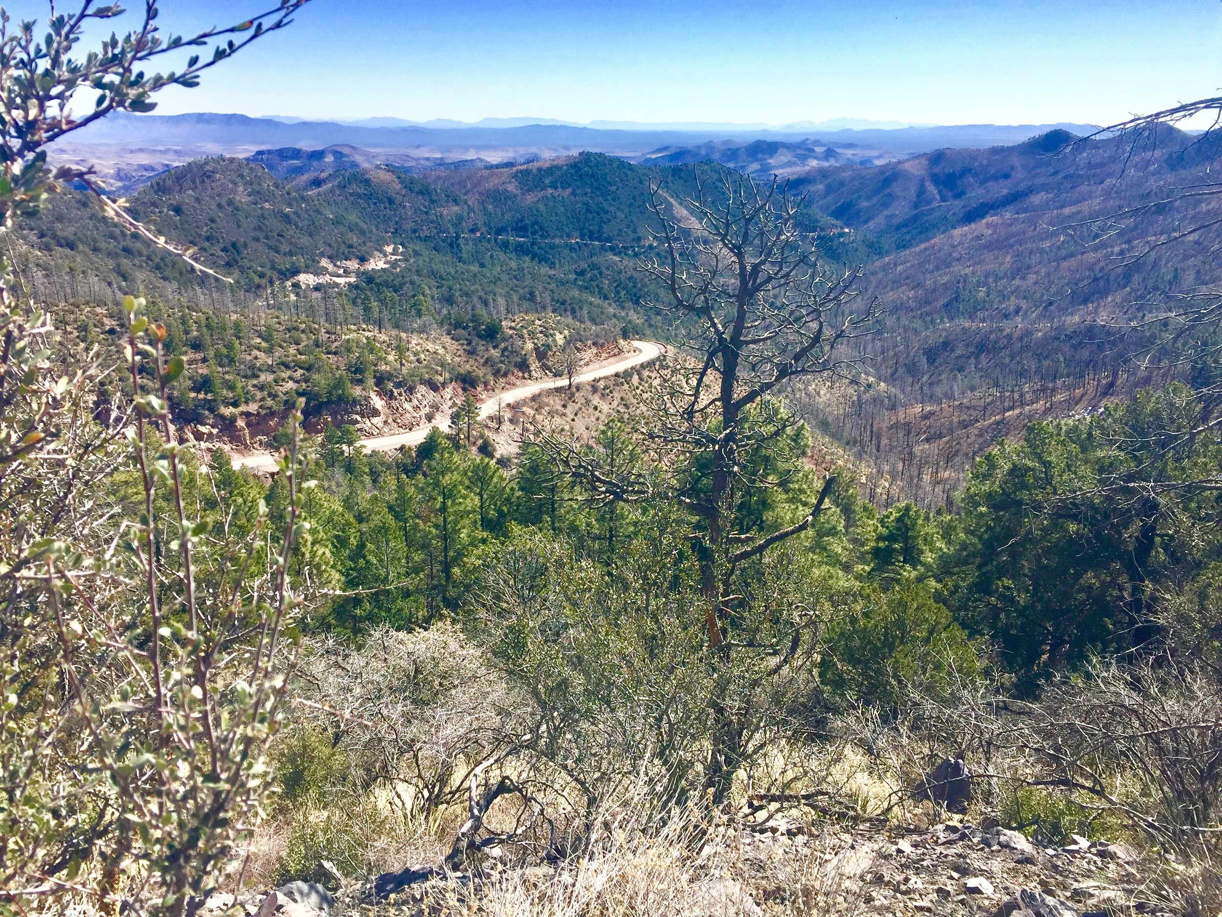 Trail of the Mountain Spirits