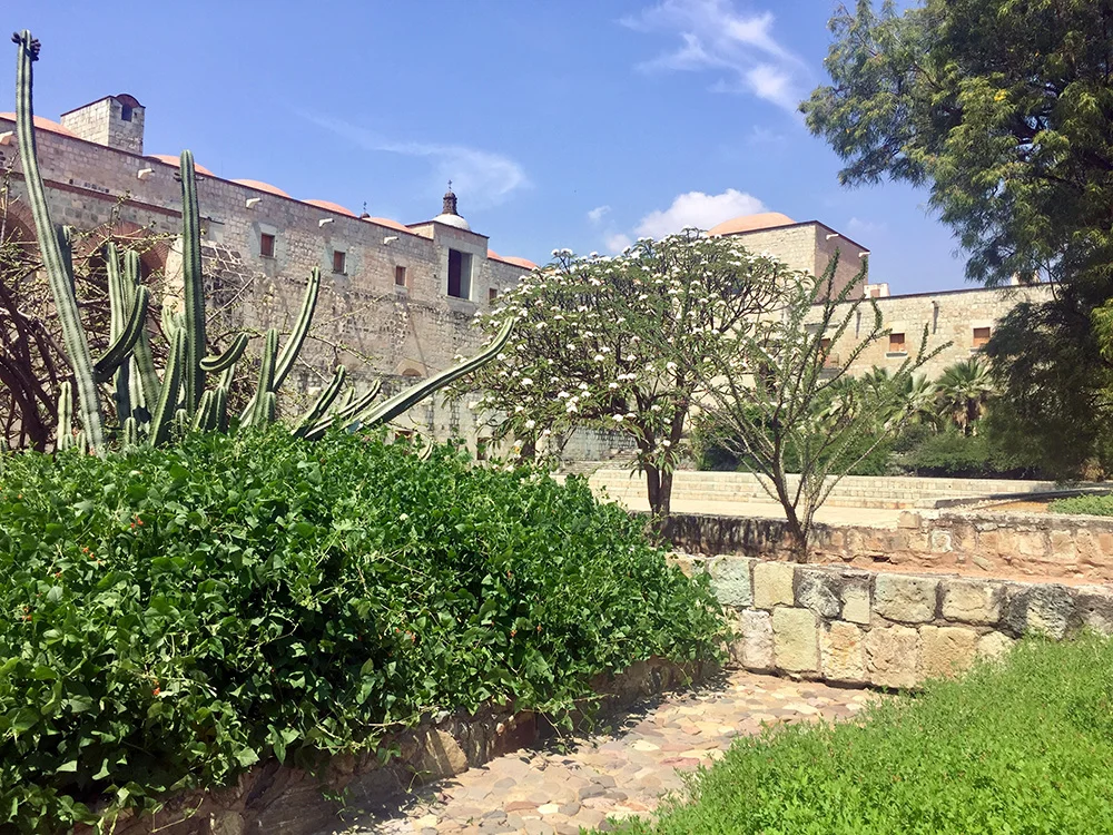 The Ethnobotanical Garden