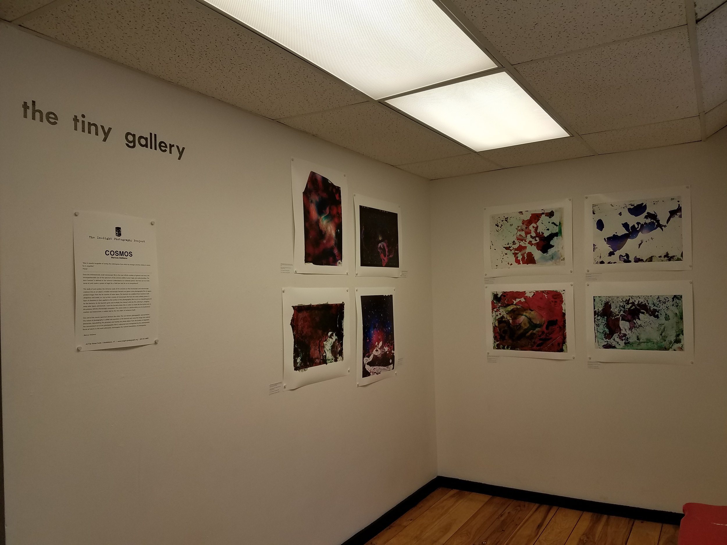 Installation shot of the Tiny Gallery