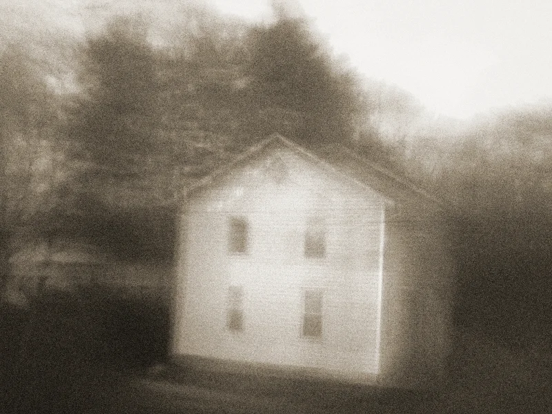Home - Vaune Trachtman.jpg