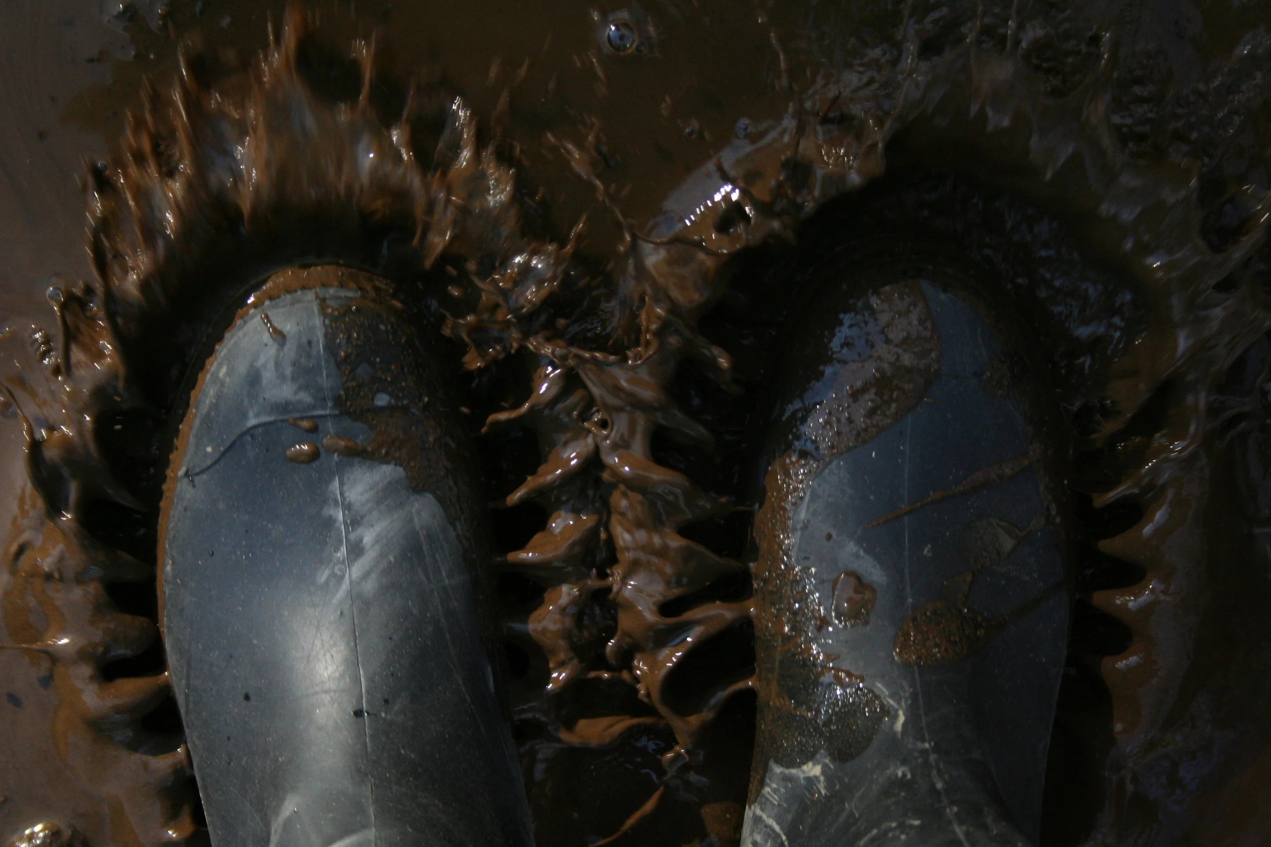 Photo credit: Juniper