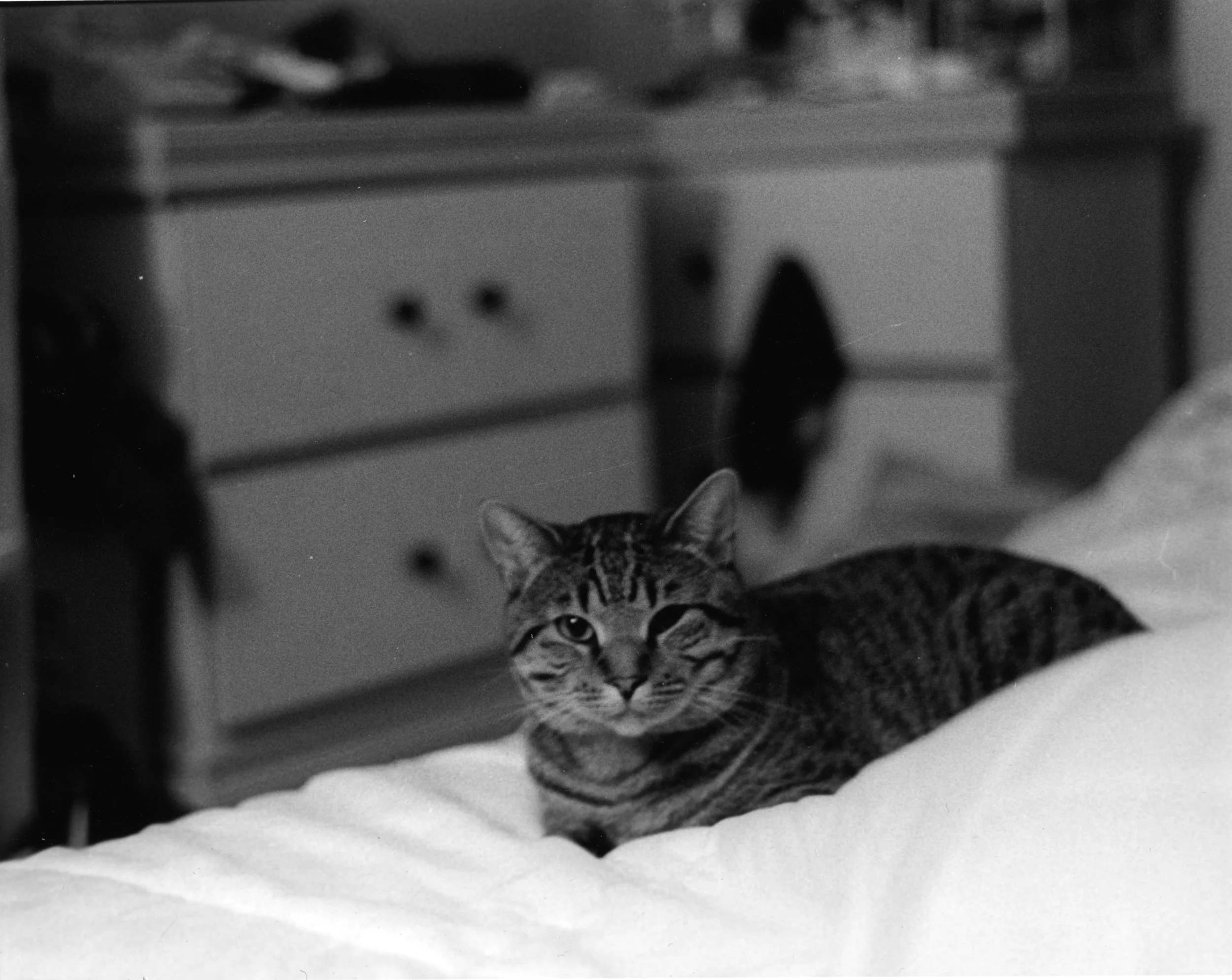 Photo credit: Lily Q.