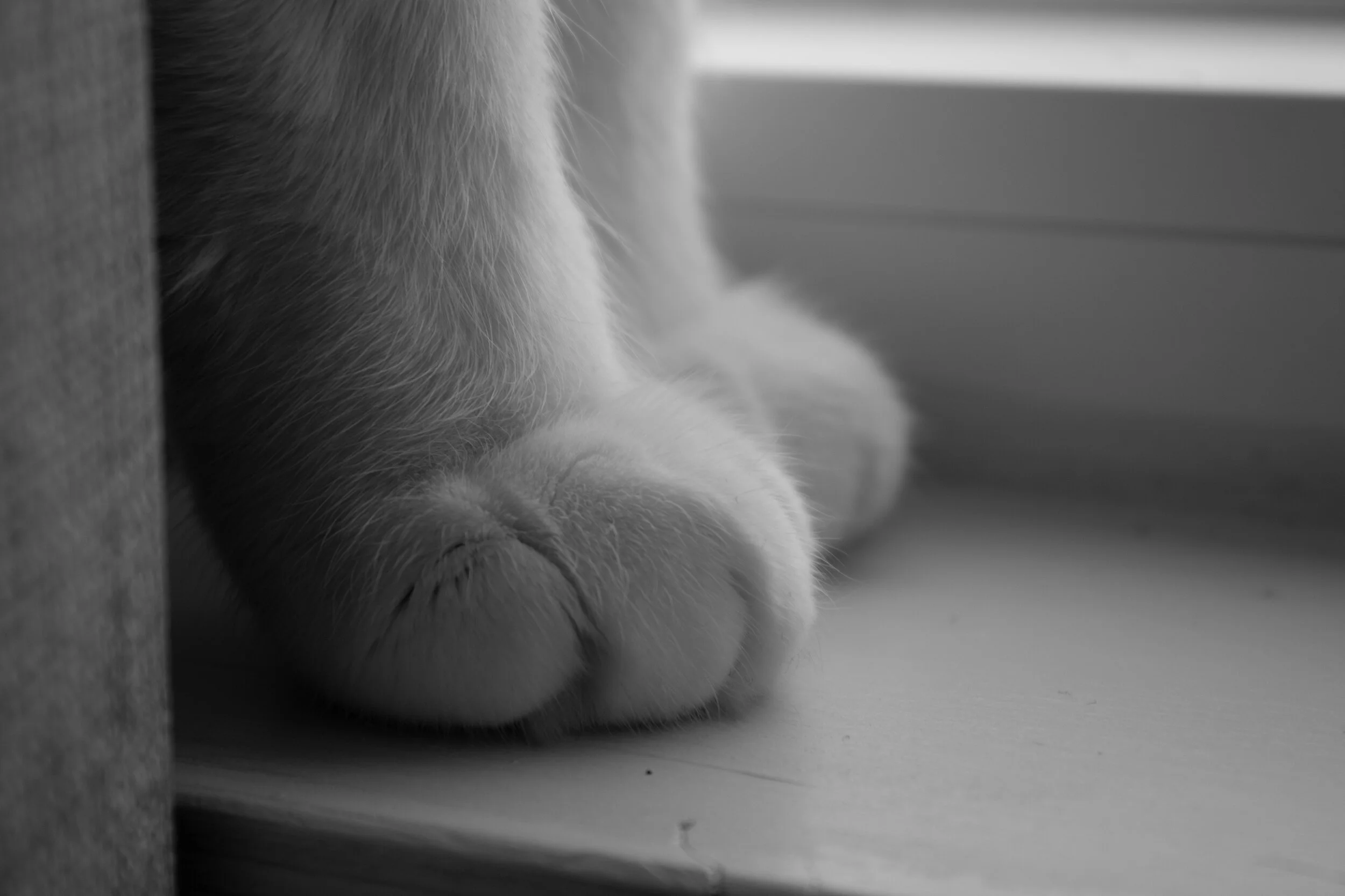 Photo credit: Jennelle