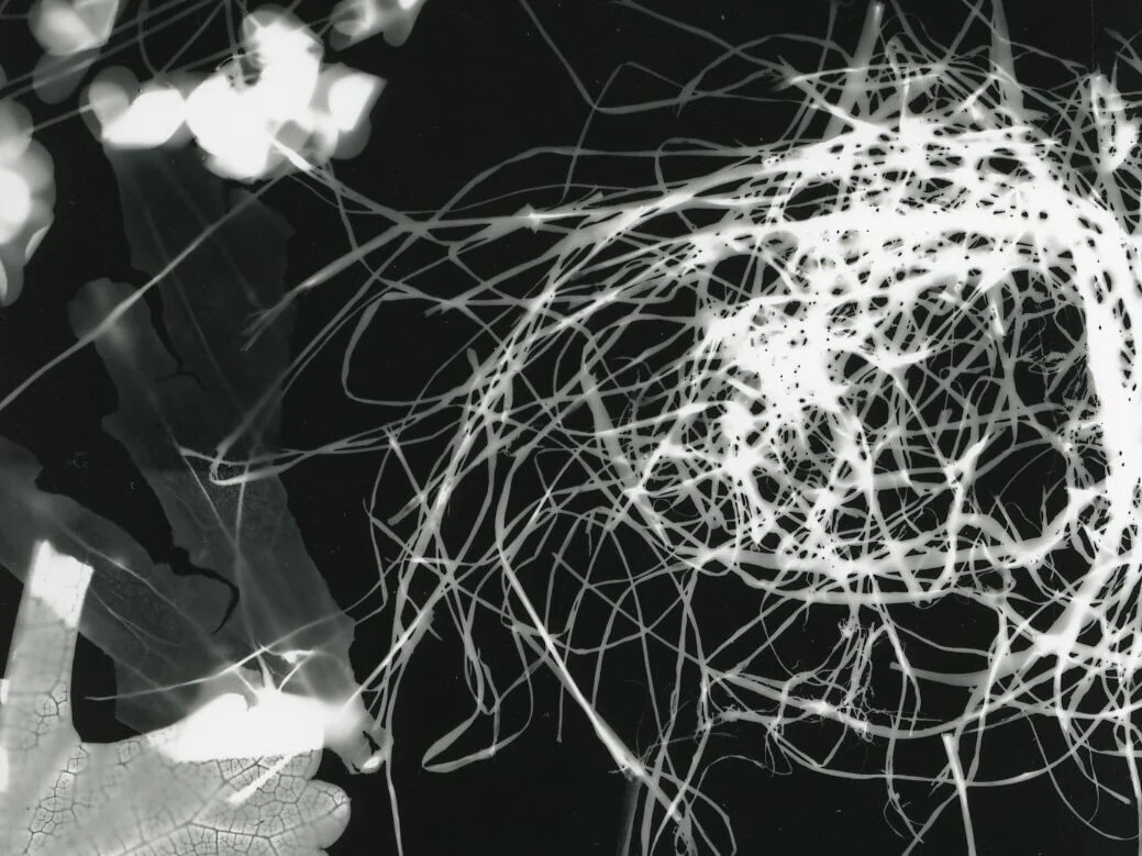 Photo credit: Kendall