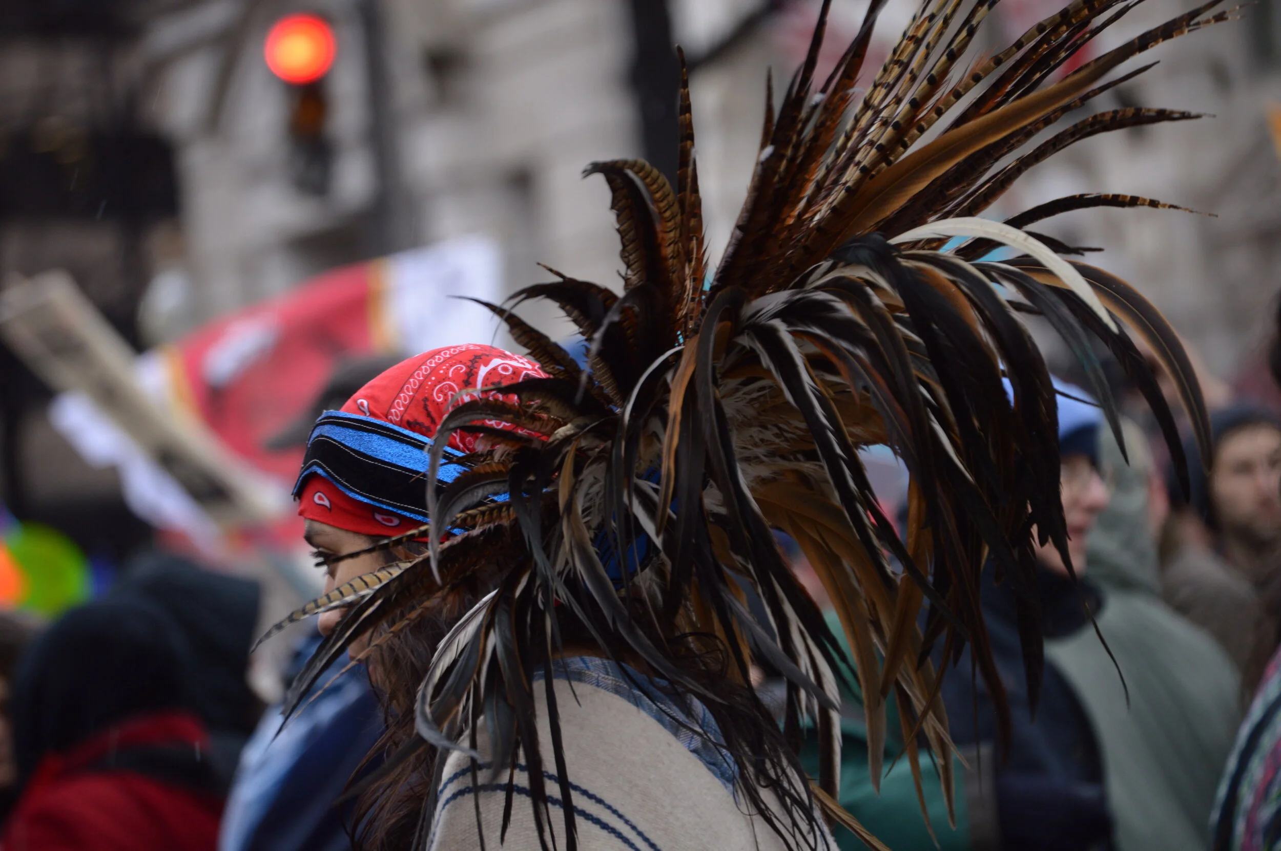 DSC_1401.JPG