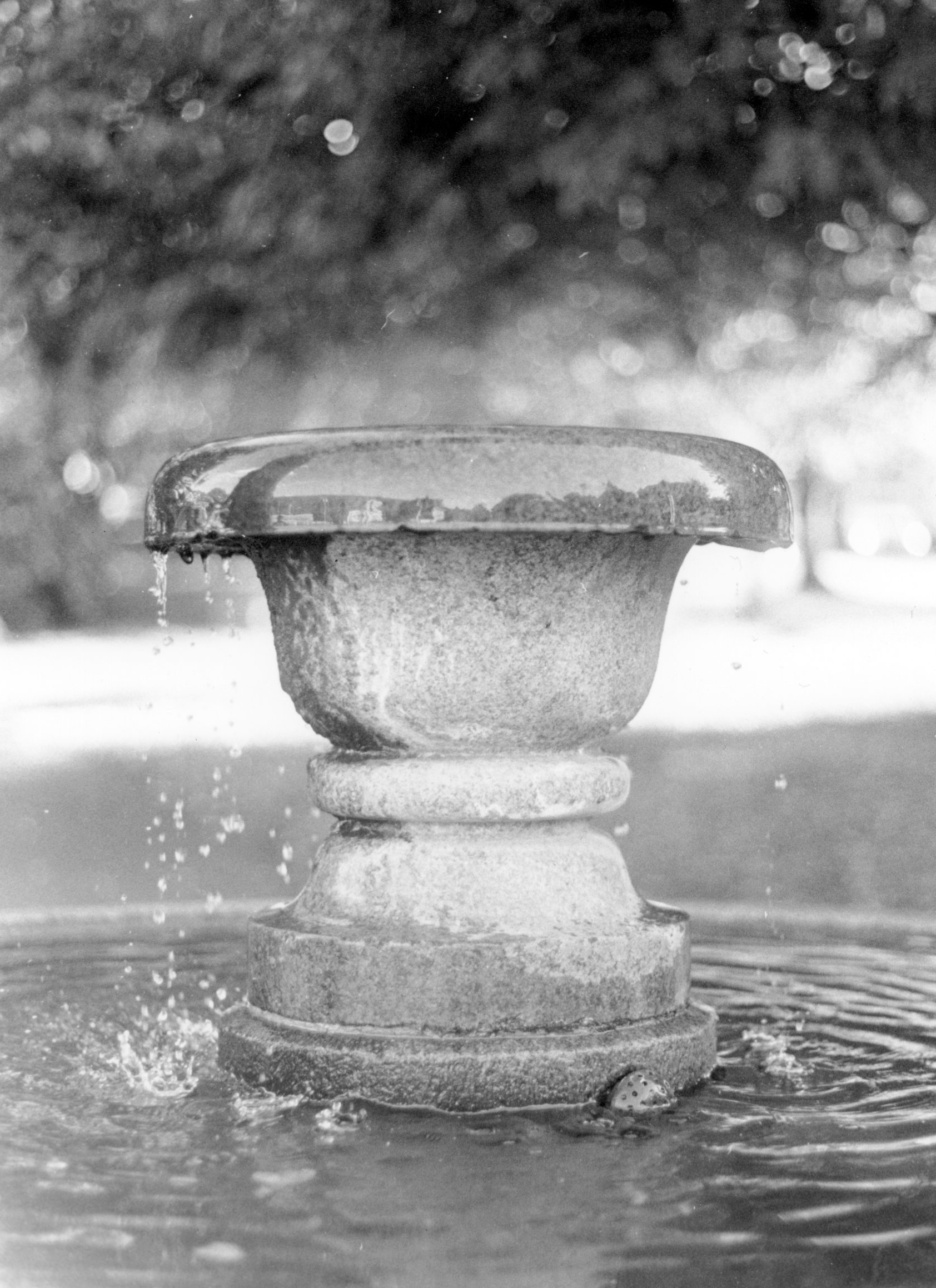 Photo Credit: Wilcca