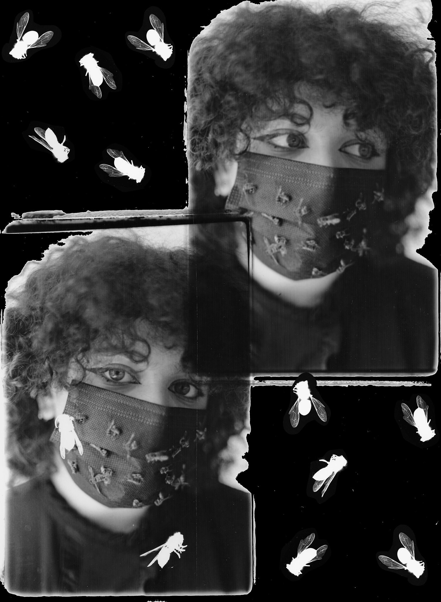 Photo credit: Amalia