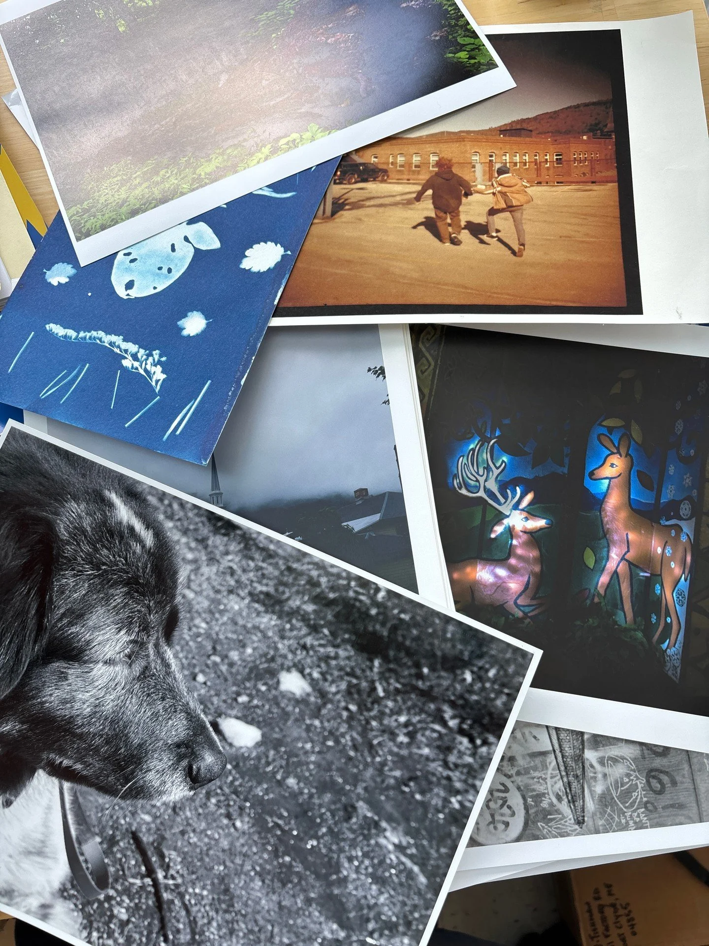 If you&rsquo;re looking for ways to find joy and community this winter we hope you&rsquo;ll stop by and check out the great stuff going on at In-Sight. Our upcoming events:

November Gallery Walk and alum potluck on 11/7 from 5-7pm
November Volunteer