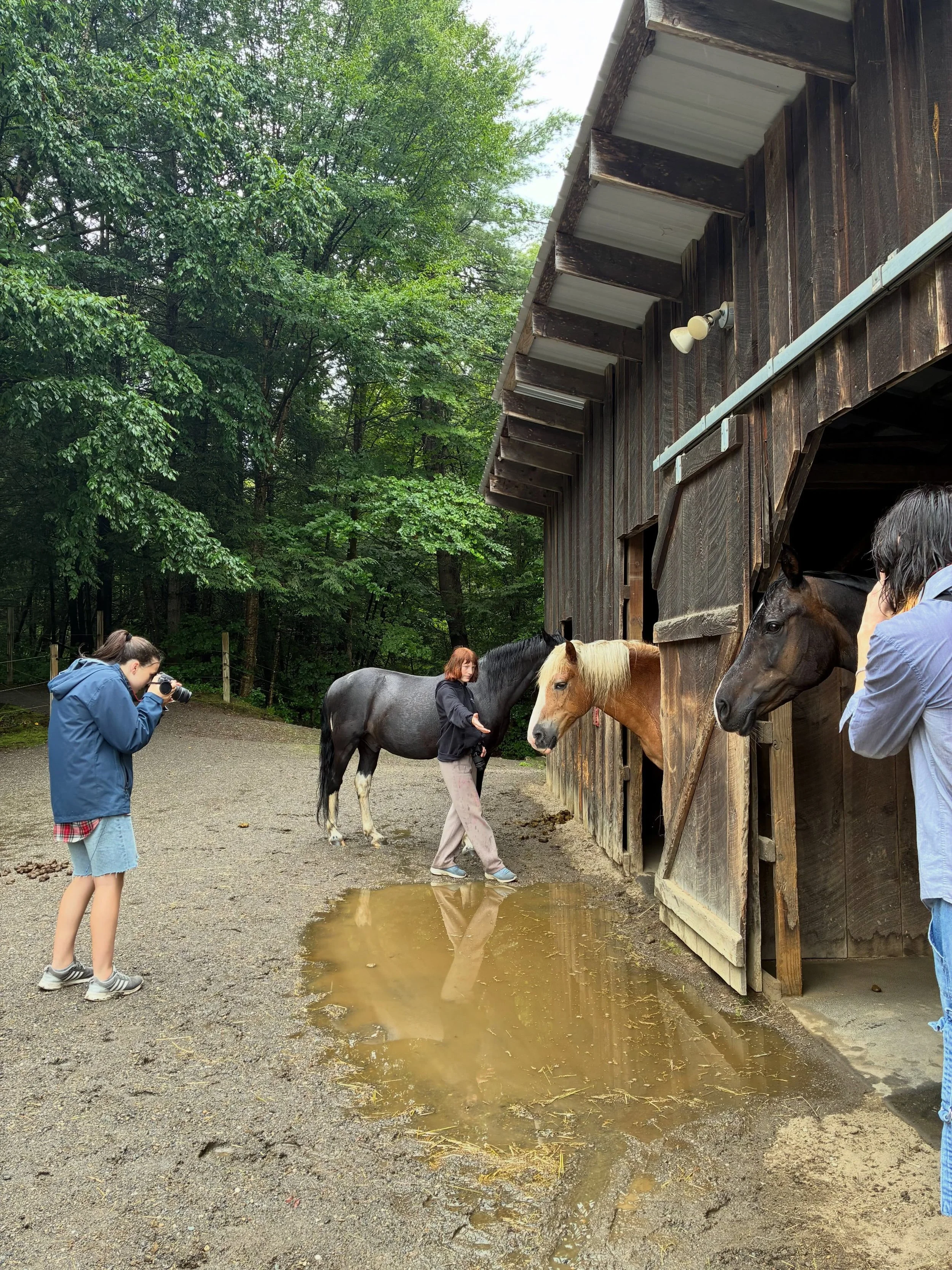 Yesterday our students in Sky to Sea had an absolute blast at Stage Road Farms! Thank you Susan for hosting us in the rain. @stageroad 

We saw horses, ponies, a heron, bard owl and a cute puppy. Student photos coming soon&hellip;😎✌️📸🐎