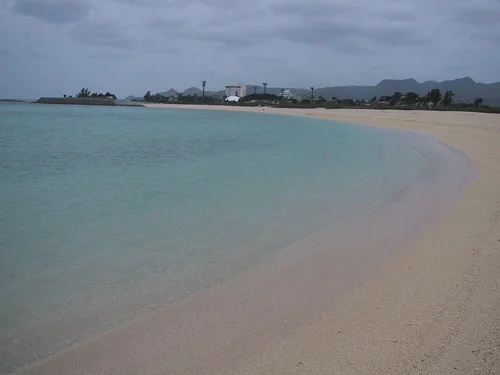 beach.jpg