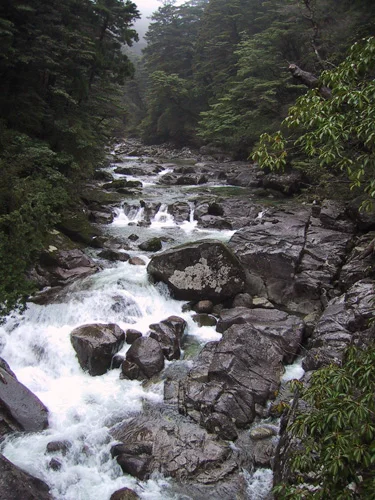 stream.jpg