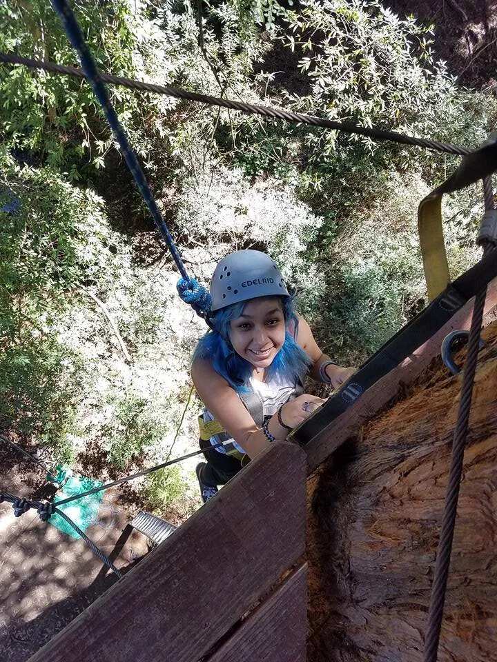 Open Day Saturday,  July 31st