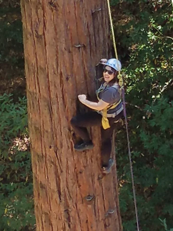 Open Day September 21