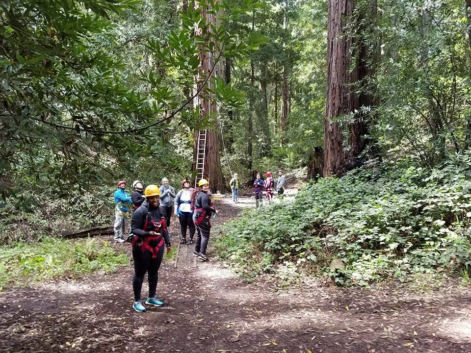 Open Day December 28