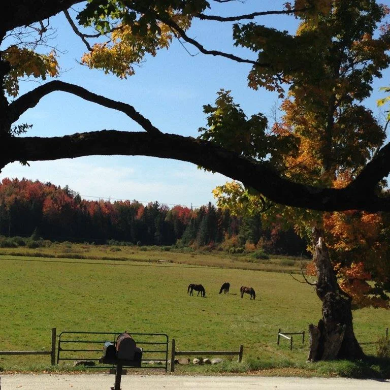 fall 2014 007.jpg