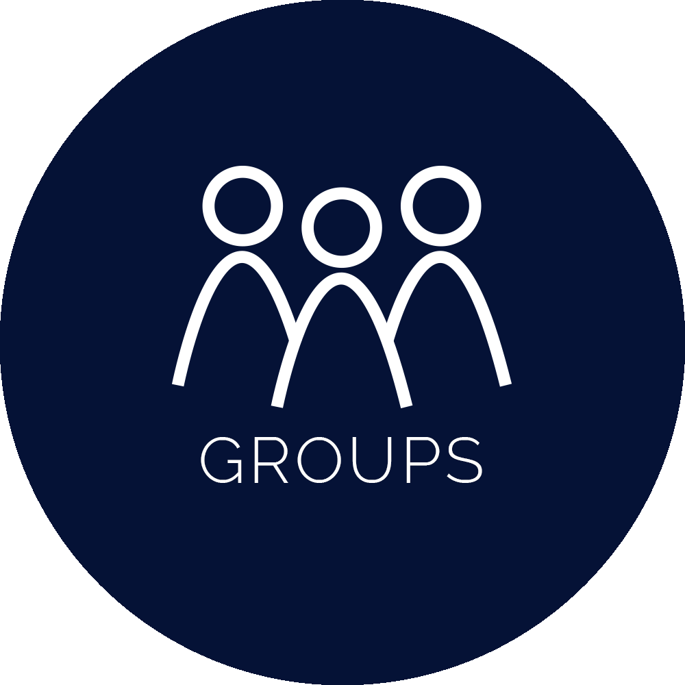 Groups Icon (Blue).png