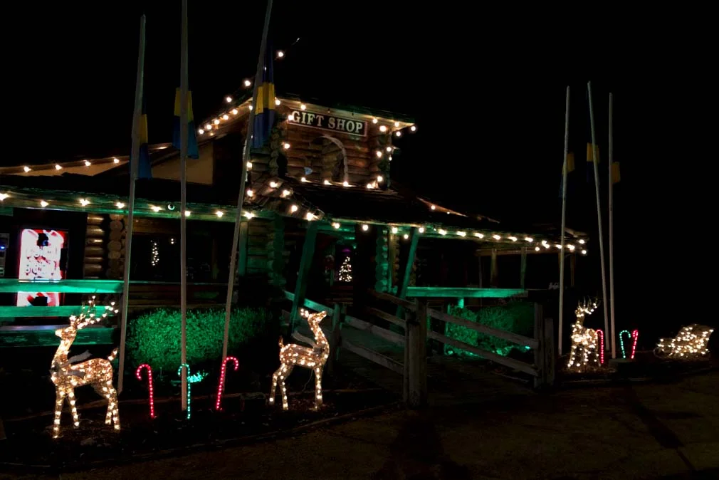 Christmas Decorations.jpg