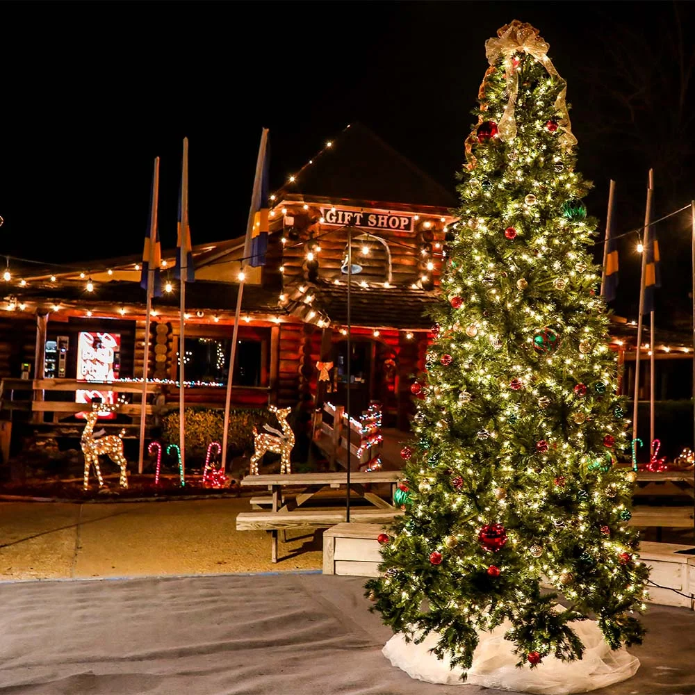 Christmas at the Cave 4.jpg