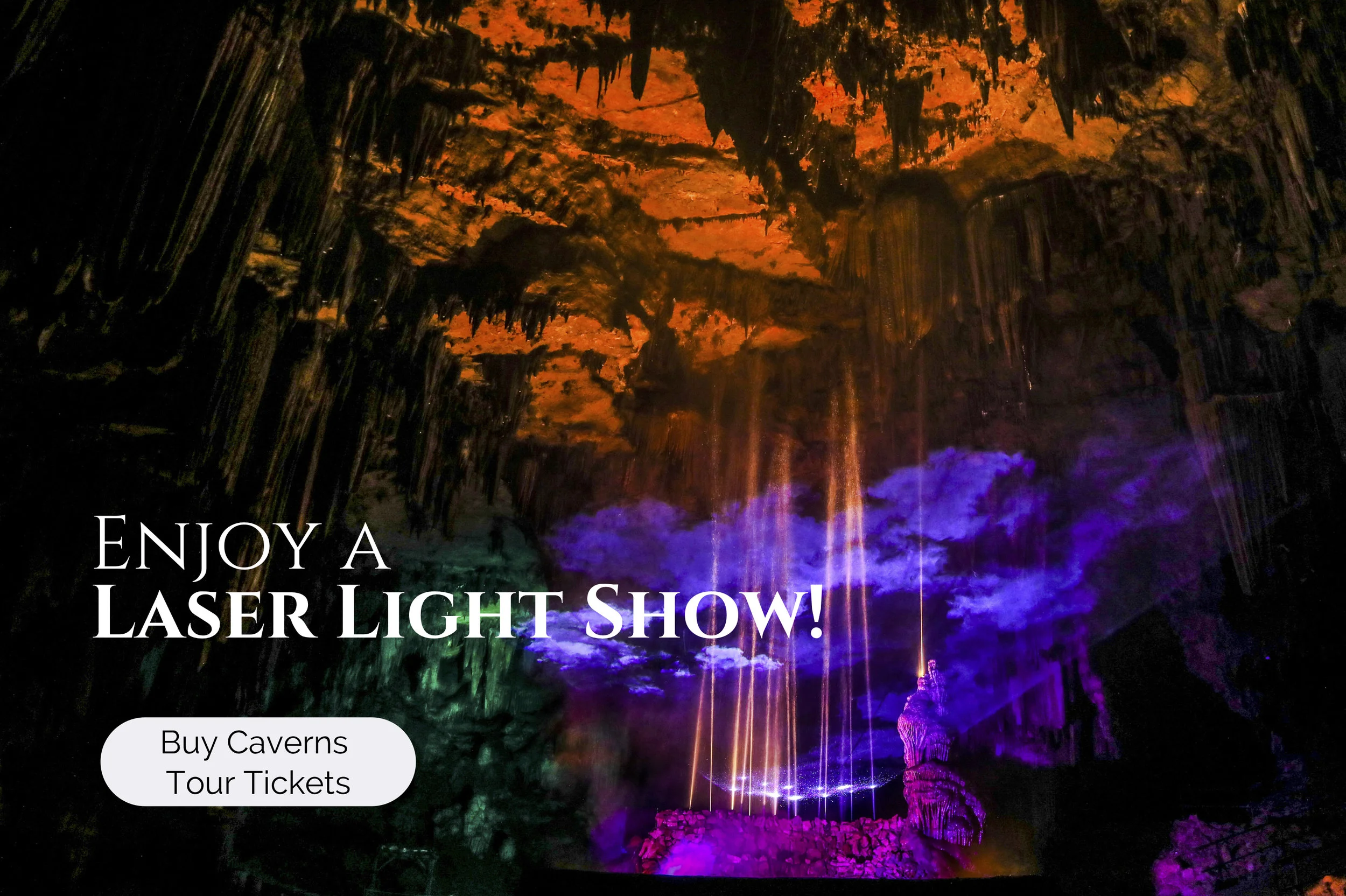 website banner (2).jpg