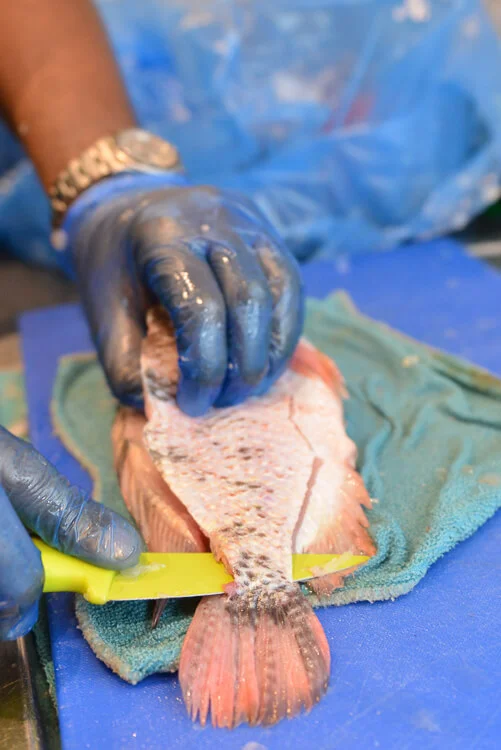 Filleting the fish.jpg