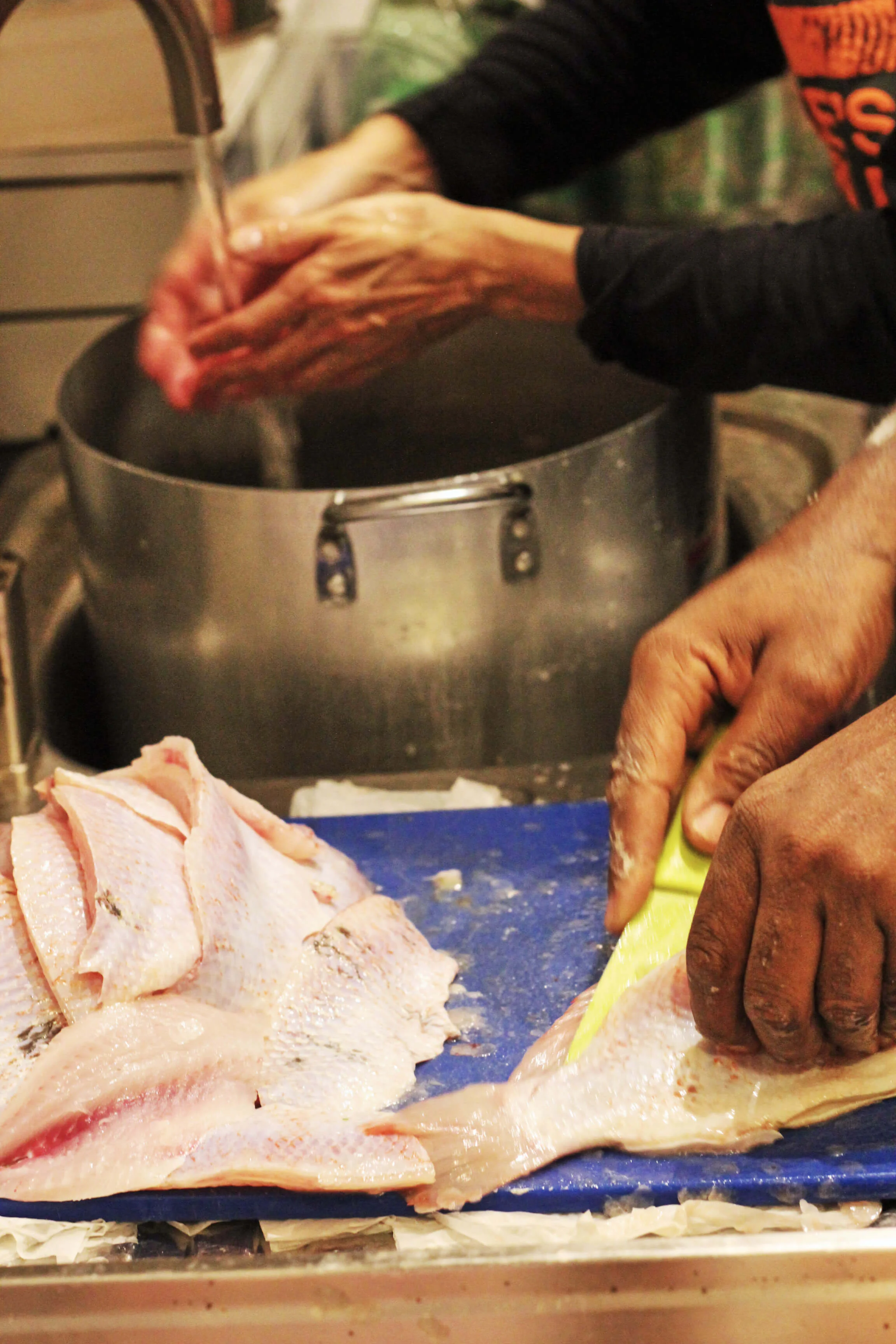 Fish and hands.jpg