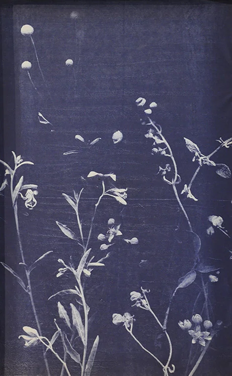 weixin2.jpg
