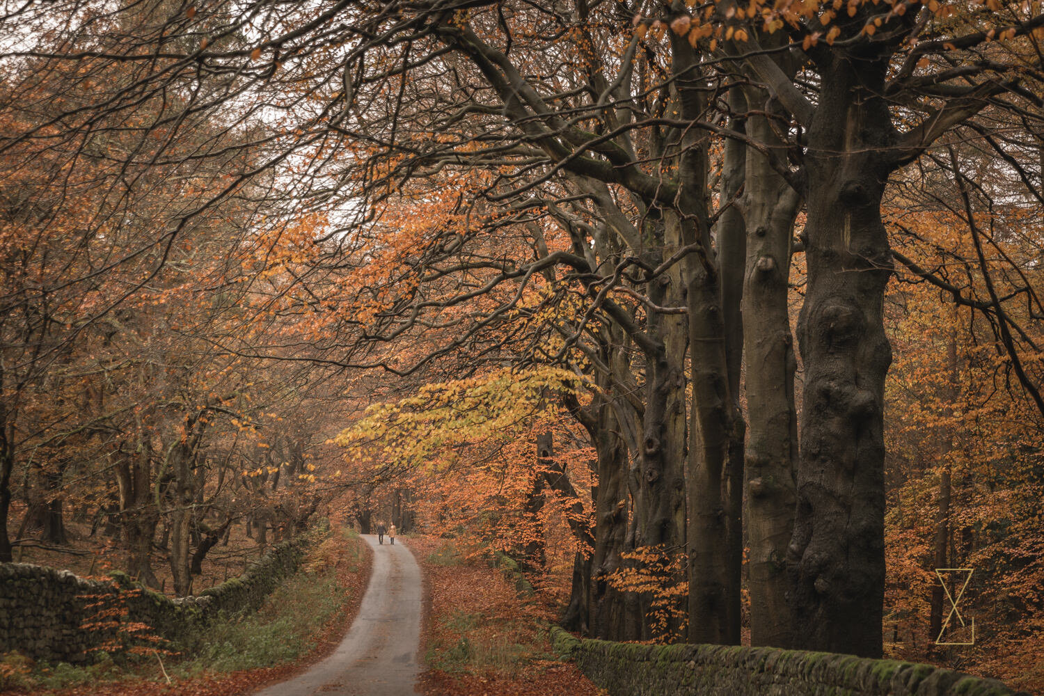 Autumn-engagement-shoot-Derbyshire-wedding-photographer-Evans-and-Evans-16.jpg