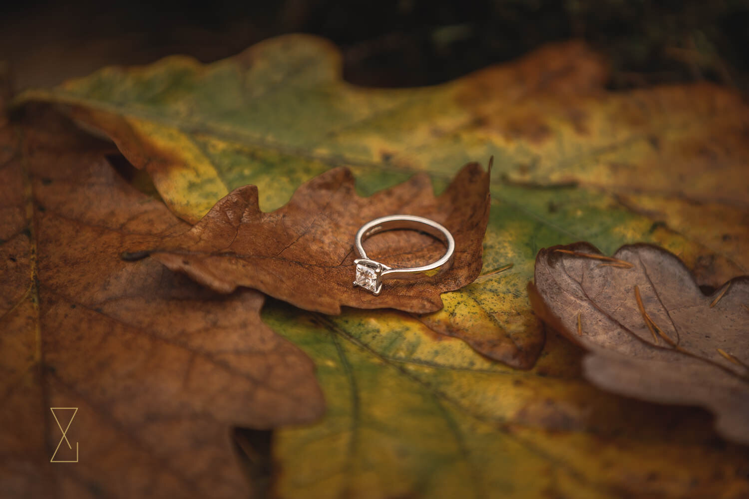 Autumn-engagement-shoot-Derbyshire-wedding-photographer-Evans-and-Evans-20.jpg