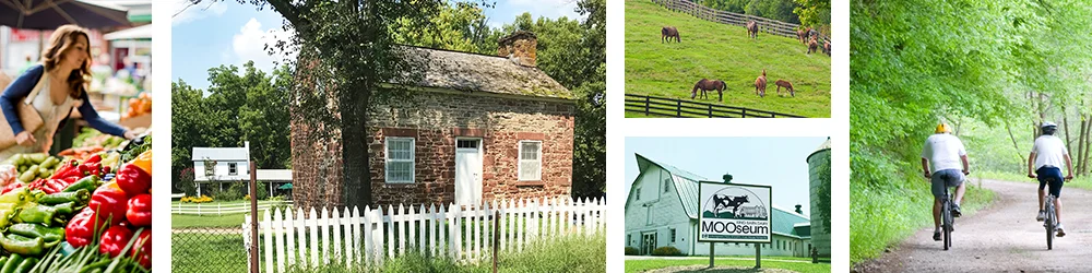 Boyds_Community_Art.jpg