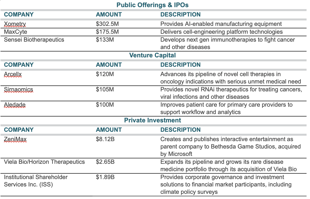 Public Offerings & IPOs table listing company name, amount, and description