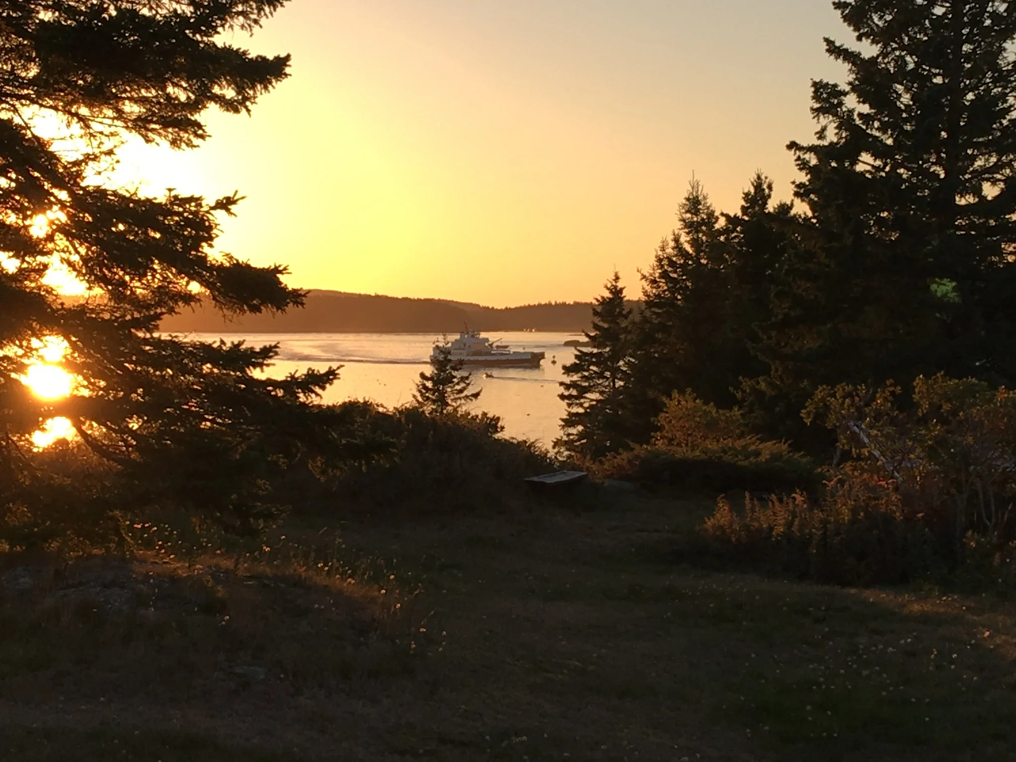 Last Ferry of the Day Arrives at Carvers Harbor