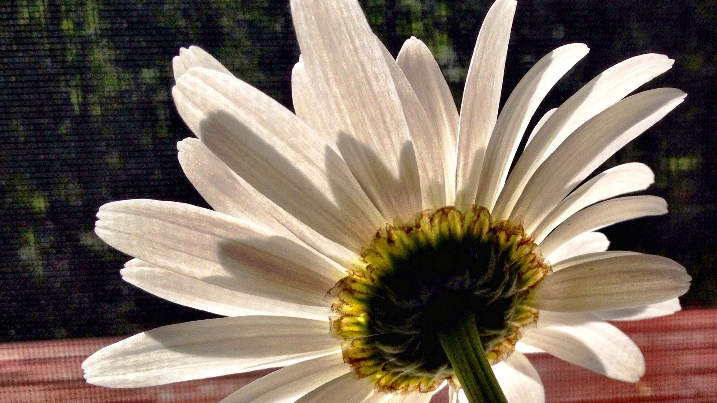 Trend 4: User Experience and Branding - Cultivating Culture