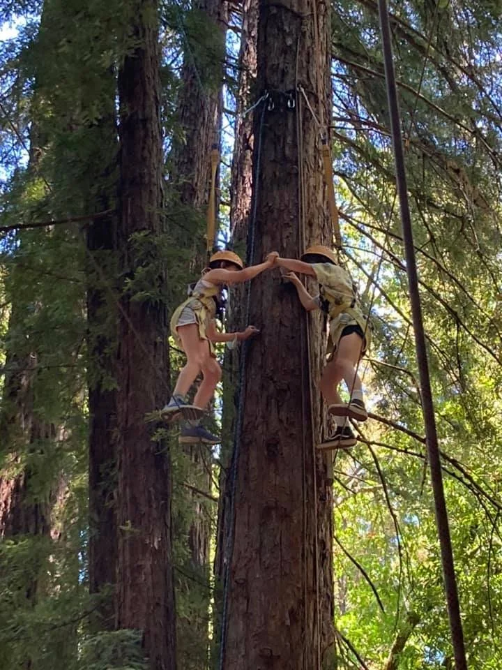 Adventure Camp at Challenge Sonoma:  Session B July 20-24  Ages 10 & Up