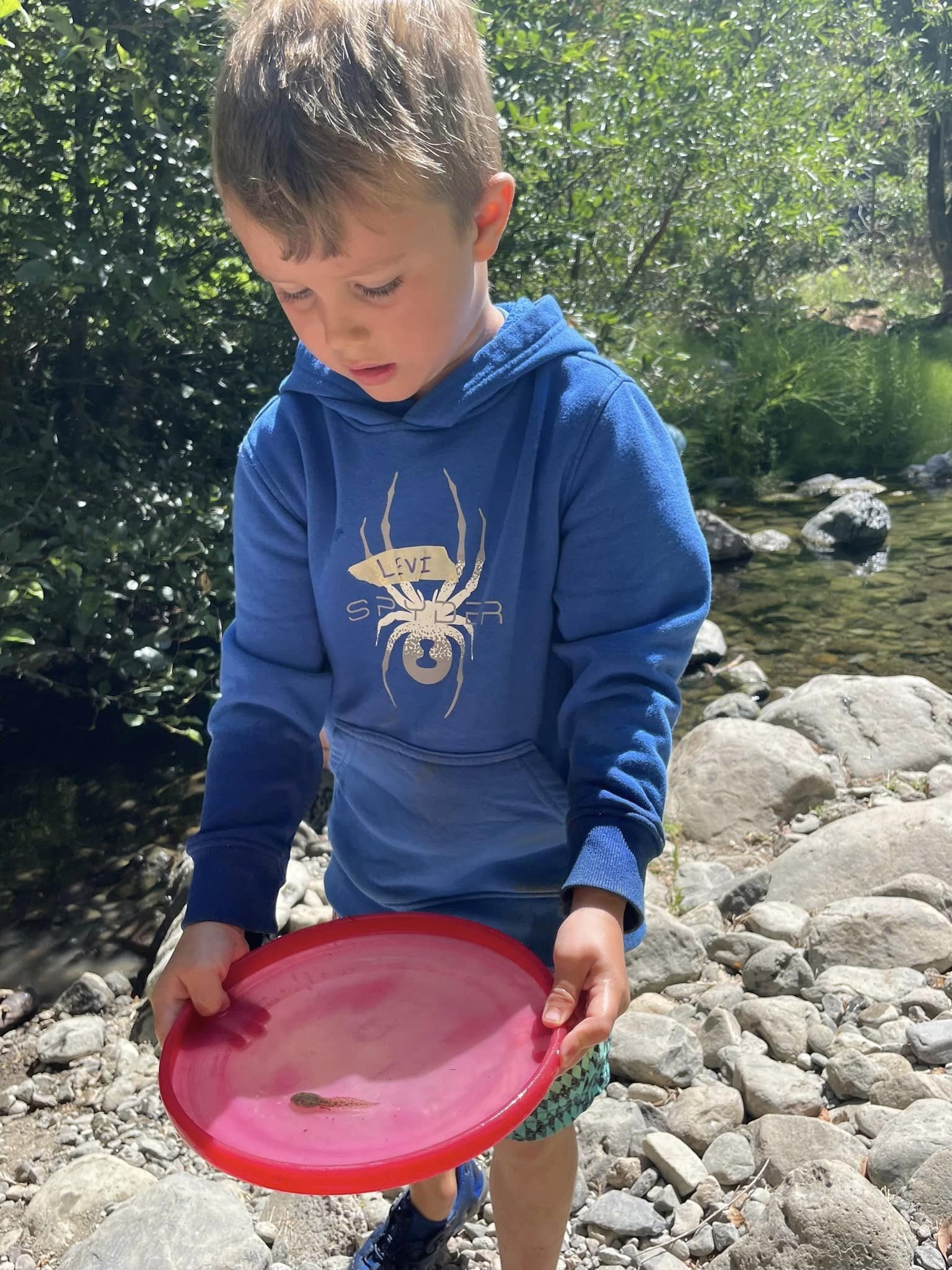Session 7, August 3-7,  Ages 5 - 12