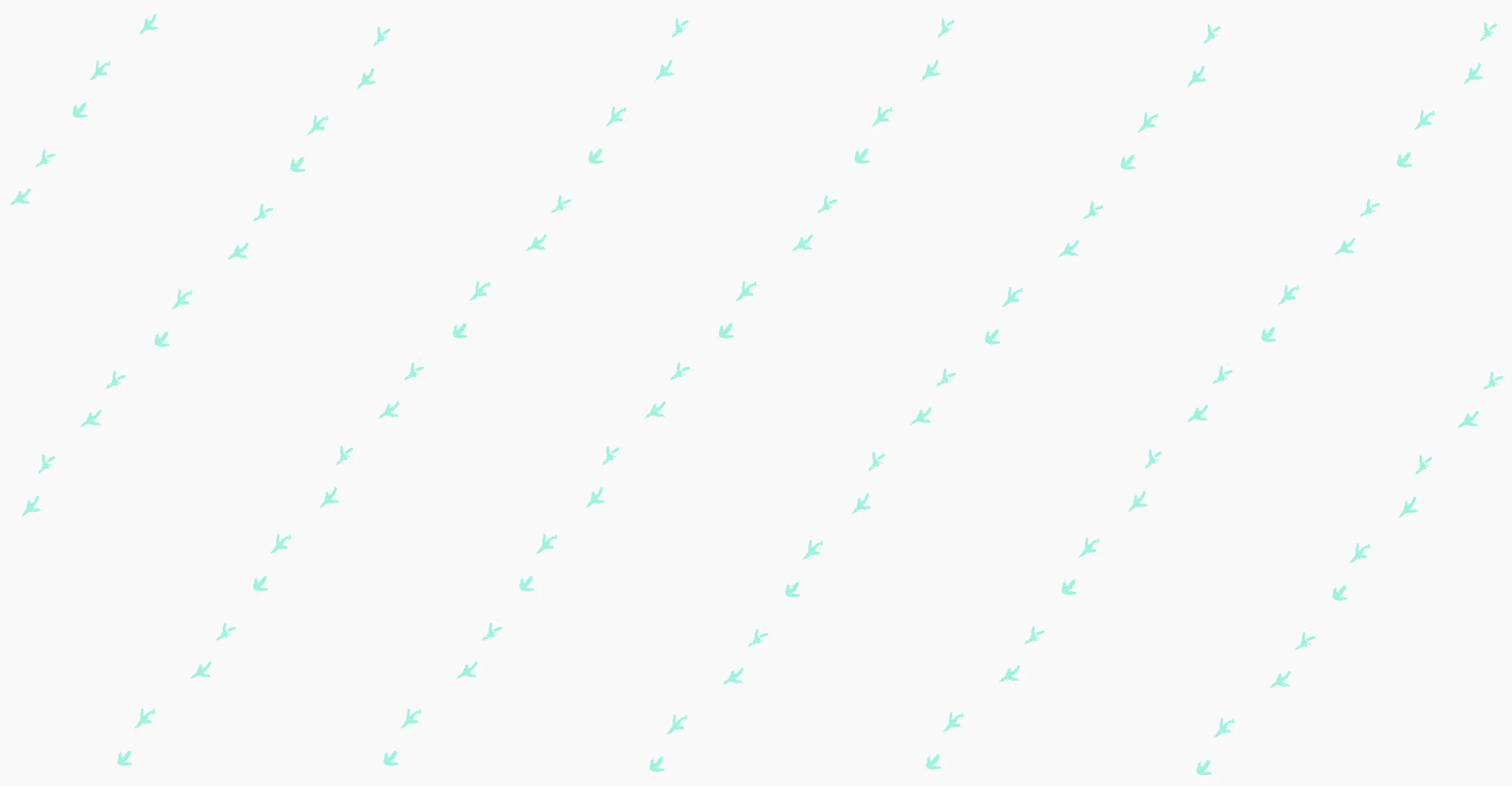 banner.jpg